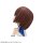 MegaHouse LookUp The New Prince of Tennis Shusuke Fuji Complete Figure image 6
