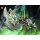 Hero Toys Demon Gatekeeper Zakoon ฟิกเกอร์ Posable Scale 1/10 รูปภาพ 15