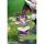 Myethos [Bonus] Genshin Impact Durin Language of Flowers and Travel Journal ver. Complete Figure image 12