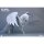Fish Toys HY-040 Flying Horse Wings of Light 1/12 Scale ฟิกเกอร์เคลื่อนไหวได้ รูปภาพ 2