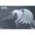 Fish Toys HY-040 Flying Horse Wings of Light 1/12 Scale ฟิกเกอร์เคลื่อนไหวได้ รูปภาพ 7