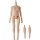 Good Smile Company Harmonia bloom blooming doll root (身体) 图片 2
