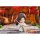 Good Smile Arts Shanghai Nendoroid Heaven Official's Blessing Xie Lian hình ảnh 8