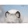 Myethos Arknights Rhodes Kids 系列 初雪 完成品模型 圖片 5