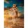 Good Smile Company Spice and Wolf MERCHANT MEETS THE WISE WOLF Holo feat. saitom 1/7 Komplett-Figur Bild 4