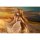 Good Smile Company Spice and Wolf MERCHANT MEETS THE WISE WOLF Holo feat. saitom 1/7 Komplett-Figur Bild 6
