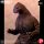 PLEX Toho 30cm Series Yuji Sakai Zoukei Collection Godzilla (1991) "GhidoGoji Hokkaido Version" ฟิกเกอร์ Complete รูปภาพ 2