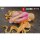Snail Shell BeautyWorks "Star Guardian Soul of the planet" 링 신 1/7 완성품 피규어 이미지 6