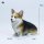 JXK Studio Sitting Corgi A 图片 11