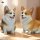 JXK Studio Sitting Corgi A 图片 4