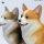 JXK Studio Sitting Corgi A 图片 6