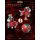 OEBOX YH1002 Pony Lulu verwandelbares Spielzeug Bild 8