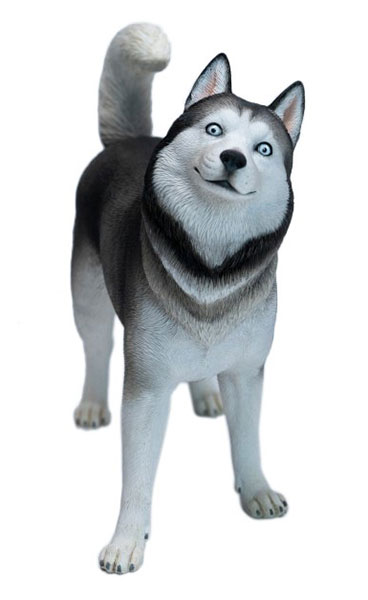 JXK Studio Husky