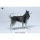 JXK Studio Husky gambar 5