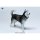 JXK Studio Husky gambar 6