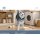 JXK Studio Husky gambar 7