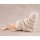 MegaHouse Melty Princess Mushoku Tensei: Jobless Reincarnation III -Isekai Ittara Honki Dasu- Palm Size Eris Sleeping Together danyan Ver. Complete Figure รูปภาพ 6