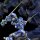 Sentinel RIOBOT Super Robot Wars OG Soulgain -Super Robot Wars A Color Ver.- imagen 9