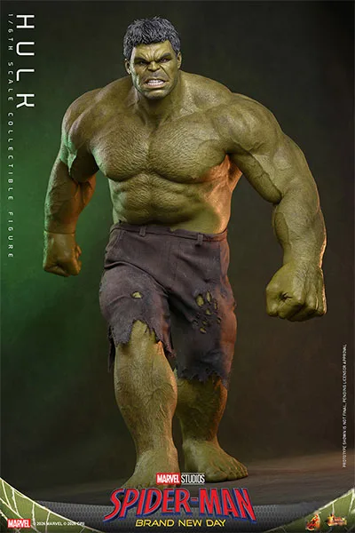 Hot Toys Movie Masterpiece "Spider-Man: Brand New Day" 1/6 Scale Figure Hulk image 1