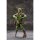 HopDo Toys Goblin Tribe Pirate Goblin 1/12 Complete Figure Bild 6