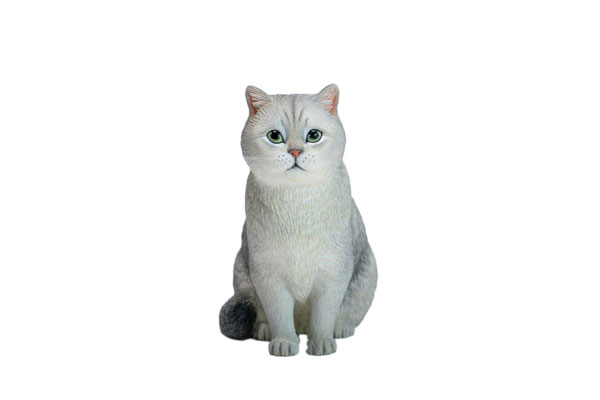 JXK Studio British Shorthair A