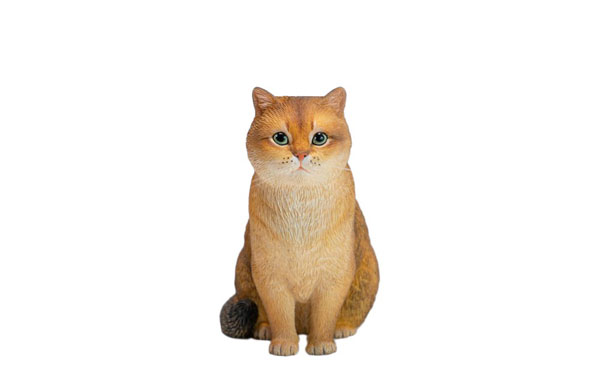 JXK Studio British Shorthair B รูปภาพ 1