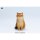 JXK Studio British Shorthair B รูปภาพ 11