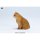 JXK Studio British Shorthair B รูปภาพ 12