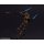 BEYOND6 ฟิกเกอร์เคลื่อนไหวได้ Zealot จาก StarCraft รูปภาพ 11