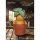Beast Kingdom VPBP-049 Harry Potter Series Palm Size Vinyl Functional Figure: Mandrake Bild 2