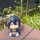 MegaHouse LookUp Touken Ranbu ONLINE Mikazuki Munechika Complete Figure Bild 12