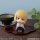 MegaHouse LookUp TV Anime "Bleach: Thousand-Year Blood War" Shinji Hirako Complete Figure image 7