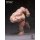 WIND TOYS 1/12 Titan Super Action Muscle Body รูปภาพ 12