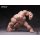 WIND TOYS 1/12 Titan Super Action Muscle Body รูปภาพ 16