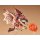 Good Smile Company Nendoroid Monster Hunter Series Rathalos image 5