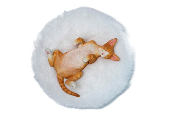 JXK Studio Relaxed Devon Rex B gambar 1