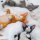JXK Studio Relaxed Devon Rex C image 9
