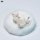 JXK Studio Relaxed Devon Rex D gambar 5