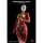 KEEPGOING Studio Human Muscle Model Female Ver. 1/12 Scale Posable Figure Red gambar 3