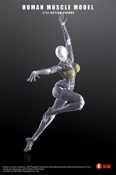 KEEPGOING Studio Human Muscle Model Female Ver. 1/12 Scale Posable Figure Gray