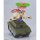 Good Smile Company PLAMATEA Apocalypse Hotel Yachiyo Plastic Model 圖片 9