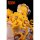 WE ART DOING Noodle Fairies Seafood Flavor Complete Figure รูปภาพ 2
