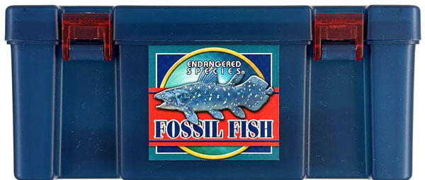 COLORATA 3D Encyclopedia ENDANGERED SPECIES Fossil Fish Box Bild 1