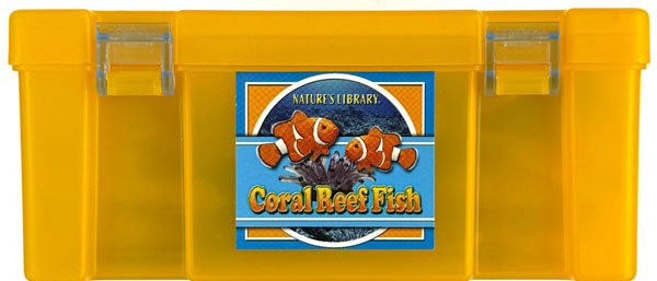 COLORATA 3D Encyclopedia NATURES LIBRARY Coral Reef Fish Box