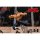 Storm Collectibles Storm Arena "BAKI-DOU" Retsu Kaioh Bild 15