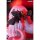 APEX [Bonus] Honkai Impact 3rd Lunar Vow: Crimson Love 1/7 Complete Figure image 12