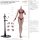 Mojoy Studio 1/6 Slender Female Body Red imagen 2
