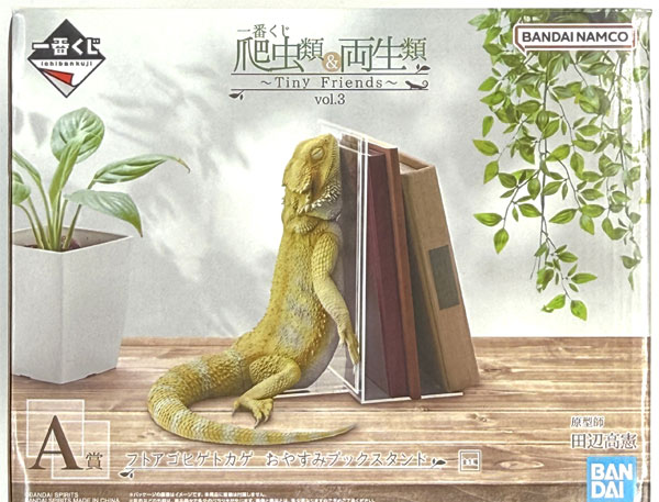 BANDAI SPIRITS Ichiban Kuji Reptilia & Amphibia -Tiny Friends- vol.3 A Prize - Central Bearded Dragon Resting Book Stand (Game-prize)