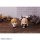 MegaHouse LookUp TV Anime "Chainsaw Man" Denji Complete Figure รูปภาพ 11