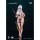 HASUKI pocket art PA013 Girls' Frontline 2: Exilium Klukai: Cerulean Breaker Ver. Deluxe Edition 1/12 Complete Model Action Figure hình ảnh 9